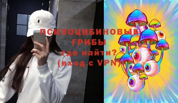 apvp Володарск