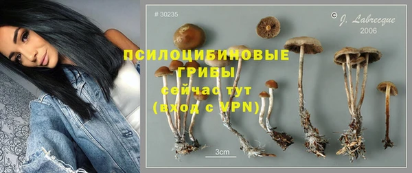apvp Володарск