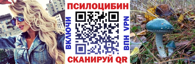 Псилоцибиновые грибы мухоморы мега tor Брянск
